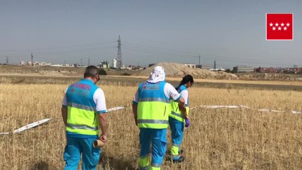 Hallada mujer fallecida en Perales del Río, Getafe