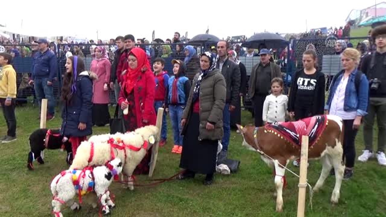 18. Geleneksel Çambaşı Yaylası Festivali - ORDU