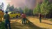 More than 800 firefighters battle wildfires in Portugal