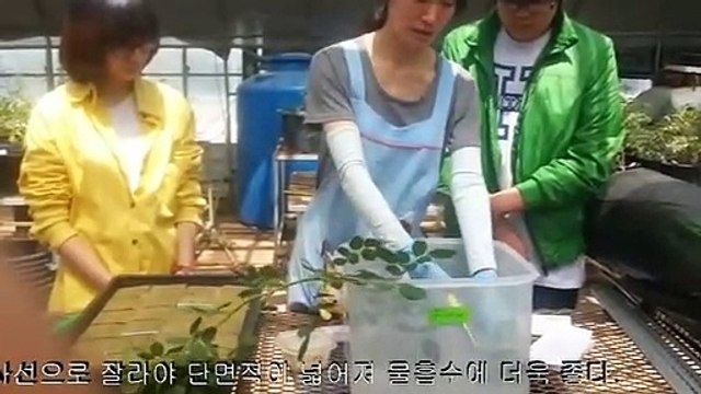 마산출장안마 -후불100%ョØ7ØA7575A0069｛카톡RD654｝ 마산전지역출장안마 마산오피걸 마산출장마사지 마산안마 마산출장마사지 마산콜걸샵ルレロ