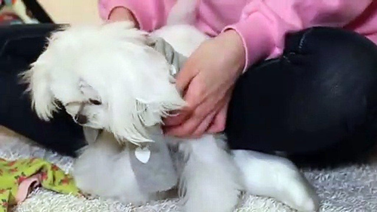 월미도출장타이Ø7ØE5180E1620｛카톡XI74｝ぱ월미도출장안@마ぱ월미도출장샵ぱ월미도출장맛사지 ぱ월미도출장걸썰 월미도출장걸가격 월미도출장러시아 월미도외국인후불출장업소 월미도24시출장마사지샵'예약ЪЫЬ
