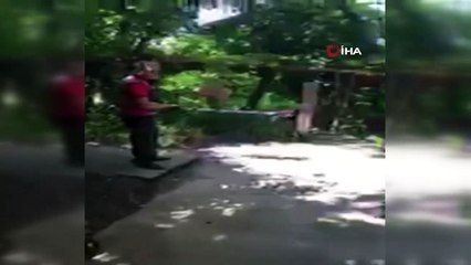 Zehirli yılanı karbondioksit gazıyla yakaladılar