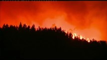 Ochocientos bomberos luchan en Portugal contra un gran incendio forestal