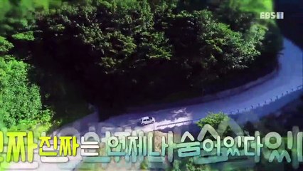 한국기행 - Korea travel_맛의 방주 2부- 울릉도, 섬말나리를 아시나요?_#001