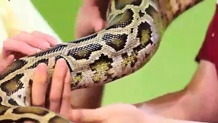 서울출장타이OiOE7362E3210｛카톡BB5858｝ぱ서울출장안@마ぱ서울출장샵ぱ서울출장맛사지 ぱ서울출장걸썰 서울출장걸가격 서울출장러시아 서울외국인후불출장업소 서울24시출장마사지샵'예약ŧŋŉ