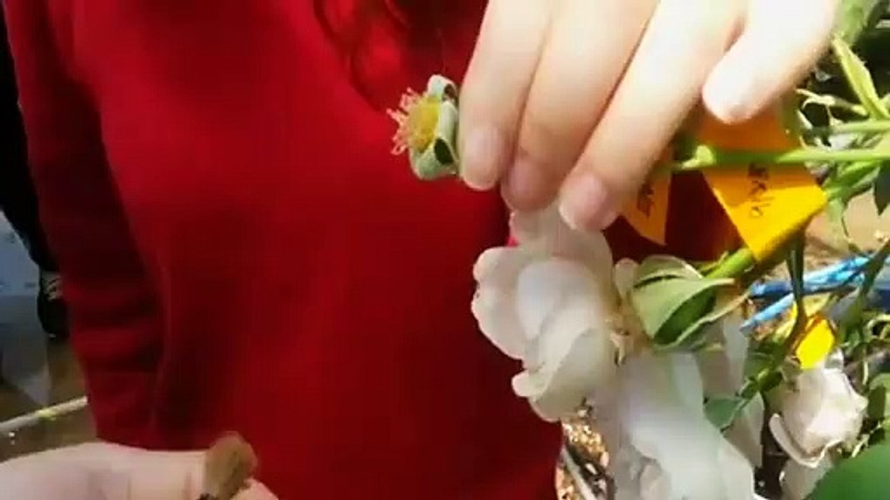 금산출장타이O7Os7301s9649｛카톡CS69｝ぱ금산출장안@마ぱ금산출장샵ぱ금산출장맛사지 ぱ금산출장걸썰 금산출장걸가격 금산출장러시아 금산외국인후불출장업소 금산24시출장마사지샵'예약きぎく