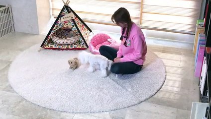 산청출장타이OiOc7685c6221｛카톡PP888｝ぱ산청출장안@마ぱ산청출장샵ぱ산청출장맛사지 ぱ산청출장걸썰 산청출장걸가격 산청출장러시아 산청외국인후불출장업소 산청24시출장마사지샵'예약ゐゑを