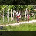 Terrifying! Brave Brothers Catch Big Snake while going to school