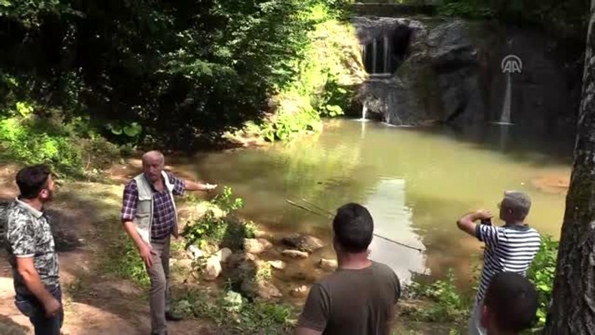 Kurucasile Haberleri Ucuruma Yuvarlanan Otomobilden Baba Ve Oglu Kurtarildi Bartin Haberleri