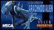 NECA Alien Vs Predator Arachnoid Alien Figure Review