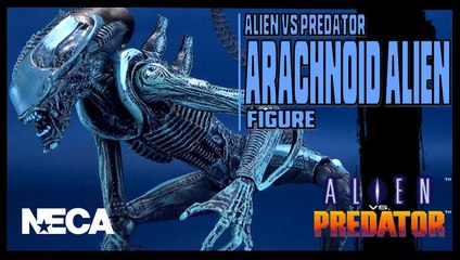 NECA Alien Vs Predator Arachnoid Alien Figure Review