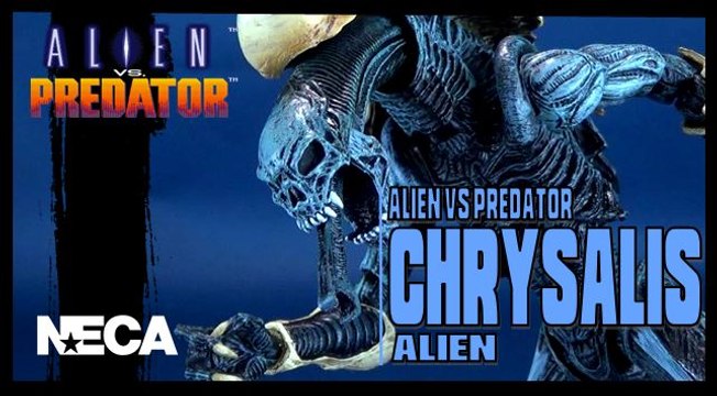 NECA Alien Vs Predator Chrysalis Alien Figure Review