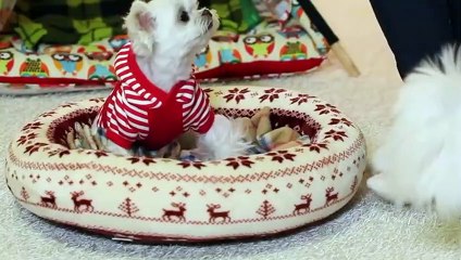 종로출장안마 -후불100%ョ OiOW2671W8135｛카톡AQ52｝ 종로전지역출장안마 종로오피걸 종로출장마사지 종로안마 종로출장마사지 종로콜걸샵сту