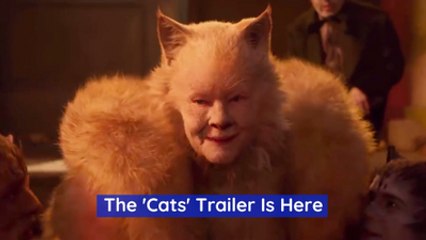 The Look Of These Furry Stars In 'Cats'