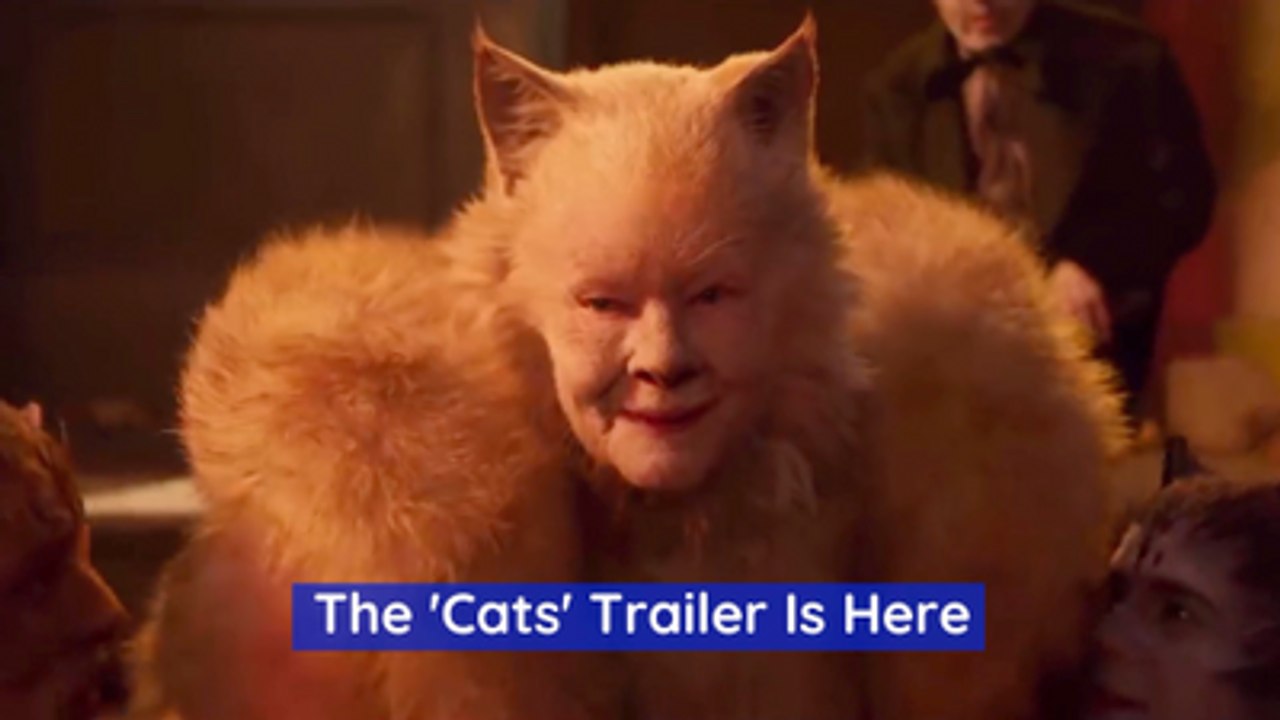 The Look Of These Furry Stars In 'Cats'