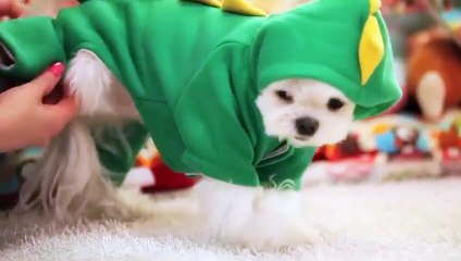 춘천출장안마 -후불100%ョO7Os7575s0062｛카톡DK654｝ 춘천전지역출장안마 춘천오피걸 춘천출장마사지 춘천안마 춘천출장마사지 춘천콜걸샵▨¶