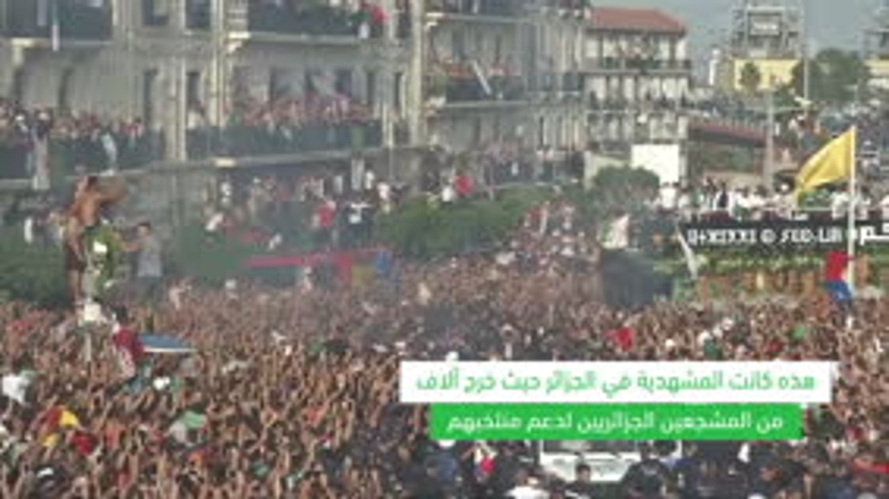 لقطة: كرة قدم: مشجعو الجزائر يحتفلون بفوز منتخبهم بلقب كأس الأمم الأفريقية