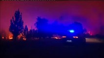 Ochocientos bomberos luchan en Portugal contra un gran incendio forestal