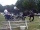 28ème concours de chars de chevaux à Boulzicourt le 20 juillet 2019 N°4 (dressage)
