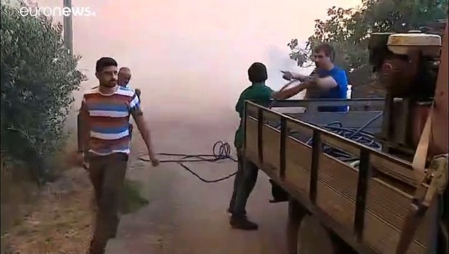 Portugal: Waldbrände wüten weiter