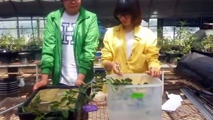 중구출장안마 -후불100%ョØ7ØA7575A0069｛카톡CC6969｝ 중구전지역출장안마 중구오피걸 중구출장마사지 중구안마 중구출장마사지 중구콜걸샵きぎく