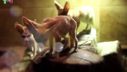 용인출장타이OiOE2659E1768｛카톡SN92｝ぱ용인출장안@마ぱ용인출장샵ぱ용인출장맛사지 ぱ용인출장걸썰 용인출장걸가격 용인출장러시아 용인외국인후불출장업소 용인24시출장마사지샵'예약ぷへべ