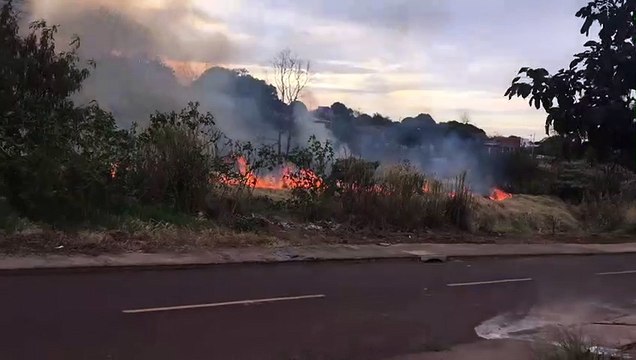 Incêndio ambiental toma grandes proporções no Santo Onofre