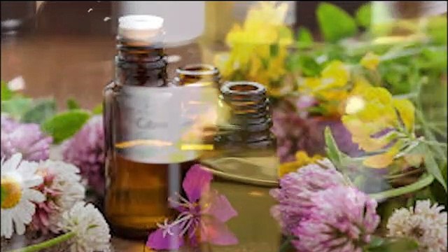 Shampoing purifiant à l'aloe vera-WLF