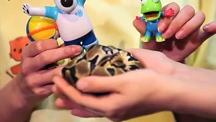 운서출장안마 -후불100%ョOiOc7685c6221｛카톡PP888｝ 운서전지역출장안마 운서오피걸 운서출장마사지 운서안마 운서출장마사지 운서콜걸샵☜●♀