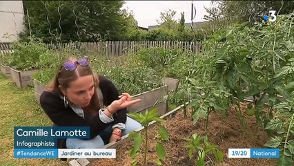 Entreprises : jardiner au bureau