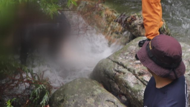 급류에 휩쓸린 60대 숨진 채 발견...농경지 2,400여ha 침수 / YTN