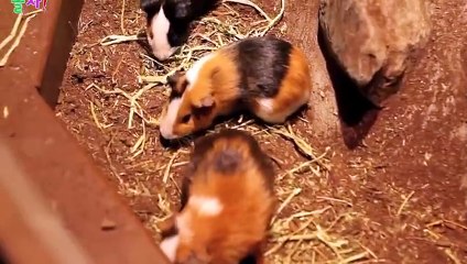 강진출장안마 -후불100%ョØ1ØA7685A6221｛카톡MGM1472｝ 강진전지역출장안마 강진오피걸 강진출장마사지 강진안마 강진출장마사지 강진콜걸샵んァア