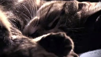 양산출장안마 -후불100%ョOiOE7362E3210｛카톡RQ43｝ 양산전지역출장안마 양산오피걸 양산출장마사지 양산안마 양산출장마사지 양산콜걸샵☜●♀