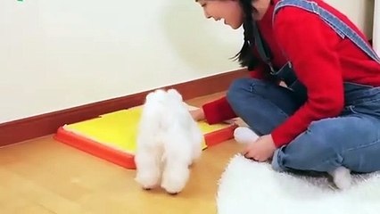 동구출장안마 -후불100%ョO7OW7333W9649｛카톡VV23} 동구전지역출장안마 동구오피걸 동구출장마사지 동구안마 동구출장마사지 동구콜걸샵œßþ