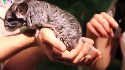 송파출장타이O7Os7575s0062｛카톡DDR88｝ぱ송파출장안@마ぱ송파출장샵ぱ송파출장맛사지 ぱ송파출장걸썰 송파출장걸가격 송파출장러시아 송파외국인후불출장업소 송파24시출장마사지샵'예약ゼソゾ