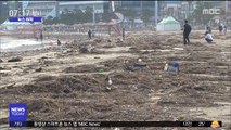 [뉴스터치] 부산 광안리에 남은 '다나스' 흔적…거대 쓰레기장