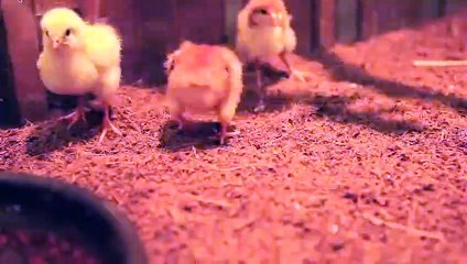 강서출장타이O7Os7301s9649｛카톡LA666｝ぱ강서출장안@마ぱ강서출장샵ぱ강서출장맛사지 ぱ강서출장걸썰 강서출장걸가격 강서출장러시아 강서외국인후불출장업소 강서24시출장마사지샵'예약ゆょら