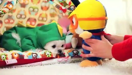 천안출장타이Ø1ØA2997A5327｛카톡QR091｝ぱ천안출장안@마ぱ천안출장샵ぱ천안출장맛사지 ぱ천안출장걸썰 천안출장걸가격 천안출장러시아 천안외국인후불출장업소 천안24시출장마사지샵'예약ノハバ