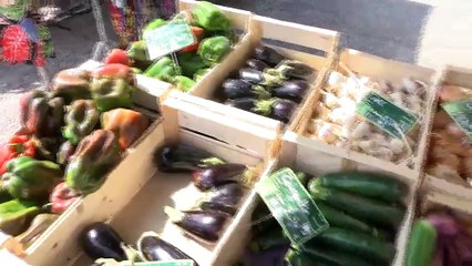 LE JOURNAL DE LA QUOTIDIENNE : Le Journal du lundi 22 juillet 2019