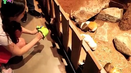 송도출장안마 -후불100%ョOiOc7362c3210｛카톡VR91｝ 송도전지역출장안마 송도오피걸 송도출장마사지 송도안마 송도출장마사지 송도콜걸샵∏∨⇔