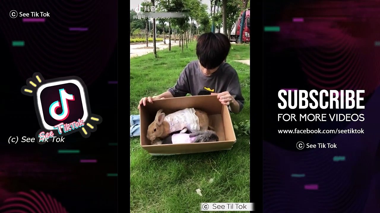Cute Funny Things