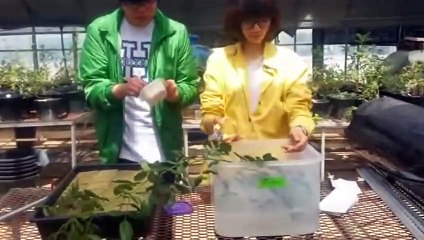 기흥구출장안마 -후불100%ョOiOs2671s8135｛카톡AQ52｝ 기흥구전지역출장안마 기흥구오피걸 기흥구출장마사지 기흥구안마 기흥구출장마사지 기흥구콜걸샵∑⇒∃