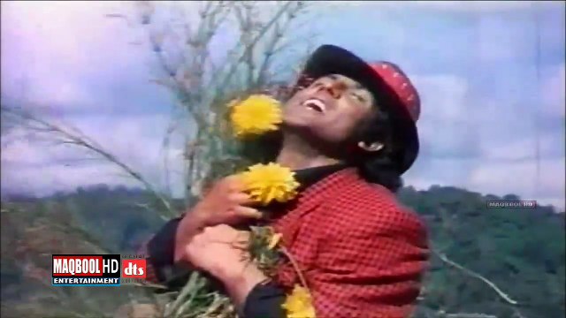 sahiba+rembo-tera munda bigra jaye