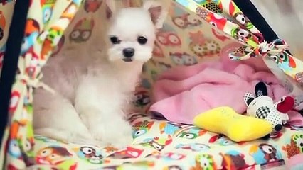 성산구출장안마 -후불100%ョ OiOW2671W8135｛카톡AQ52｝ 성산구전지역출장안마 성산구오피걸 성산구출장마사지 성산구안마 성산구출장마사지 성산구콜걸샵∏∨⇔