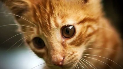 강화출장타이O7OW7301W9649｛카톡LA25｝ぱ강화출장안@마ぱ강화출장샵ぱ강화출장맛사지 ぱ강화출장걸썰 강화출장걸가격 강화출장러시아 강화외국인후불출장업소 강화24시출장마사지샵'예약だちづ