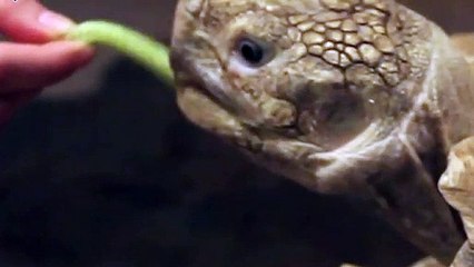 권선구출장안마 -후불100%ョ070c5180c1620｛카톡XI74｝ 권선구전지역출장안마 권선구오피걸 권선구출장마사지 권선구안마 권선구출장마사지 권선구콜걸샵ŁØŒ