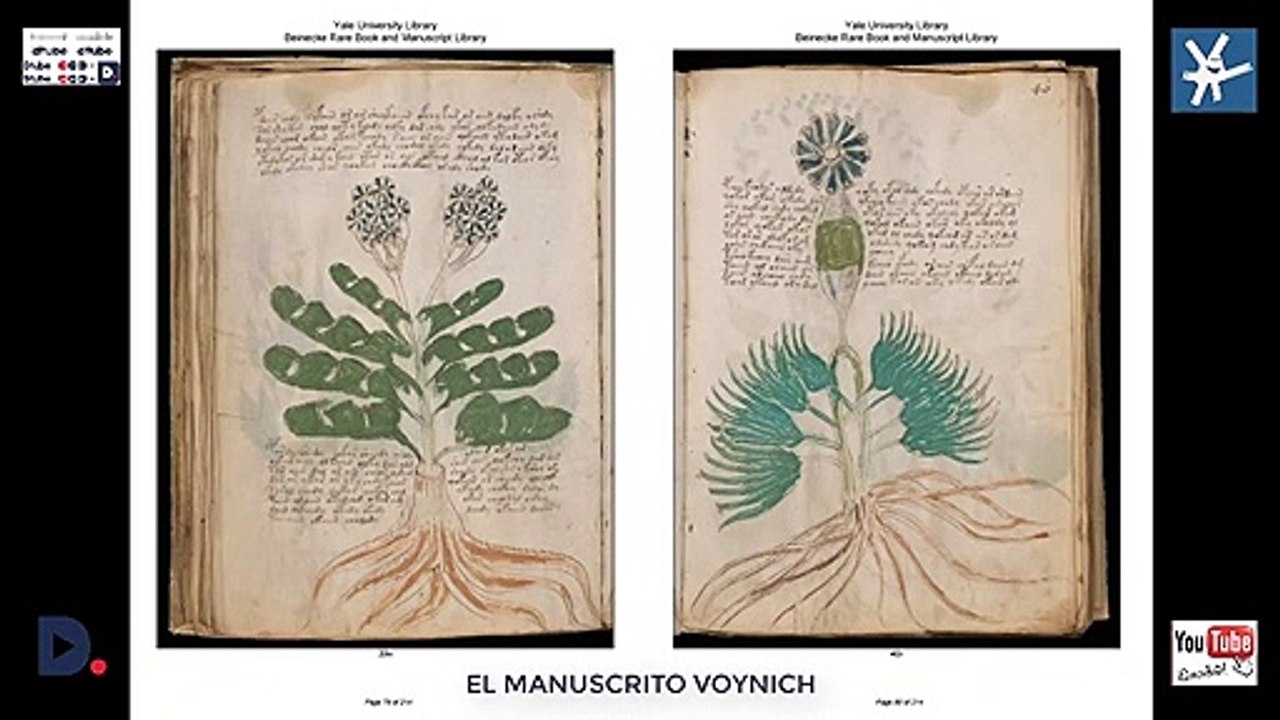 EL MANUSCRITO VOYNICH