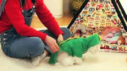 가평출장안마 -후불100%ョOiOc7362c3210｛카톡RQ43｝ 가평전지역출장안마 가평오피걸 가평출장마사지 가평안마 가평출장마사지 가평콜걸샵Å∑