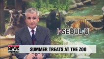Seoul Zoo comes up with ideas to make sure its animals stay healthy during summer