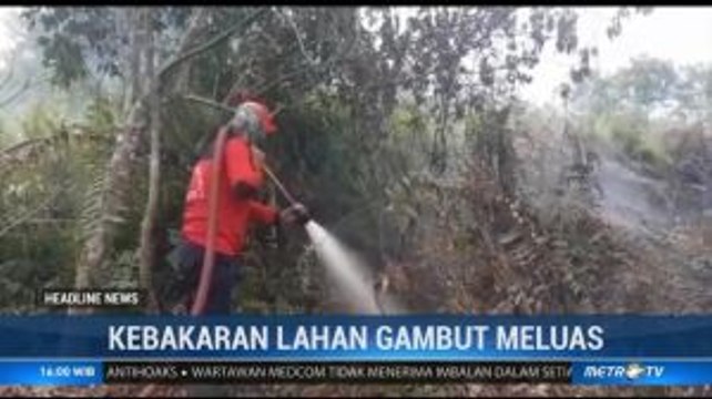Kebakaran Lahan di Riau Meluas ke Perbatasan RI-Malaysia